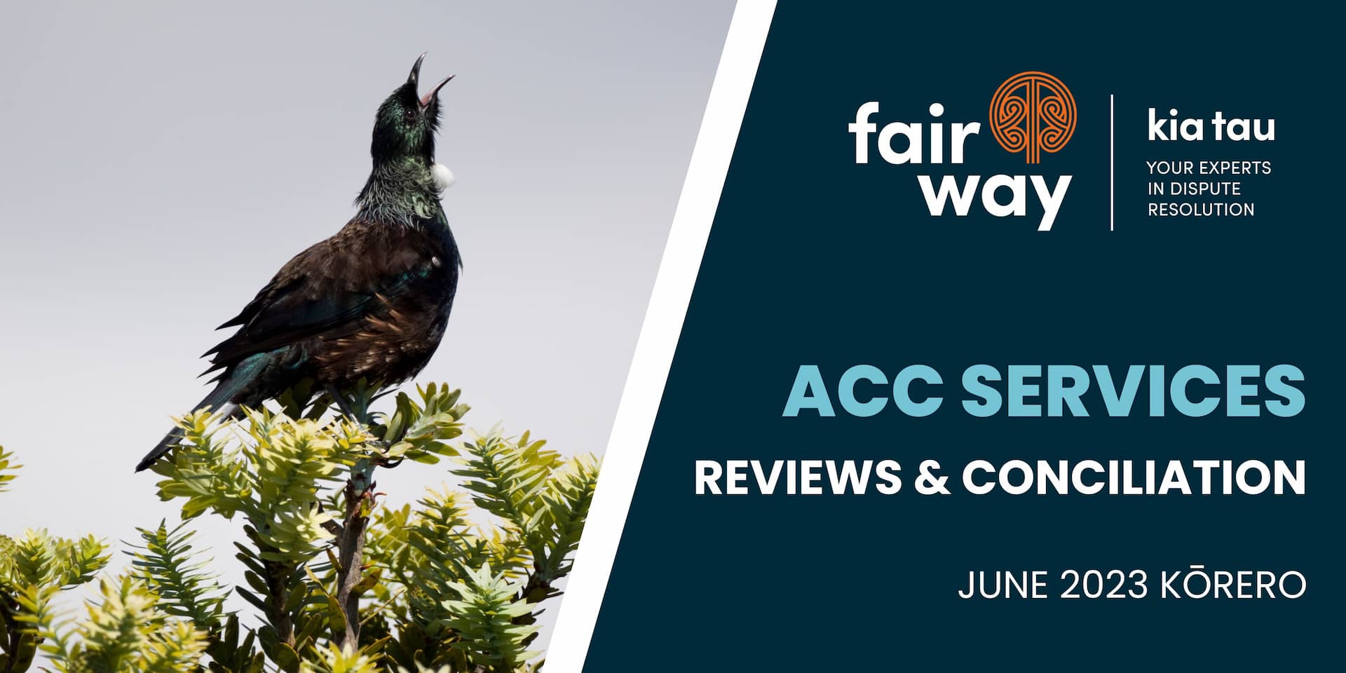 ACC Services - Reviews and Conciliation - June 2023 Korero