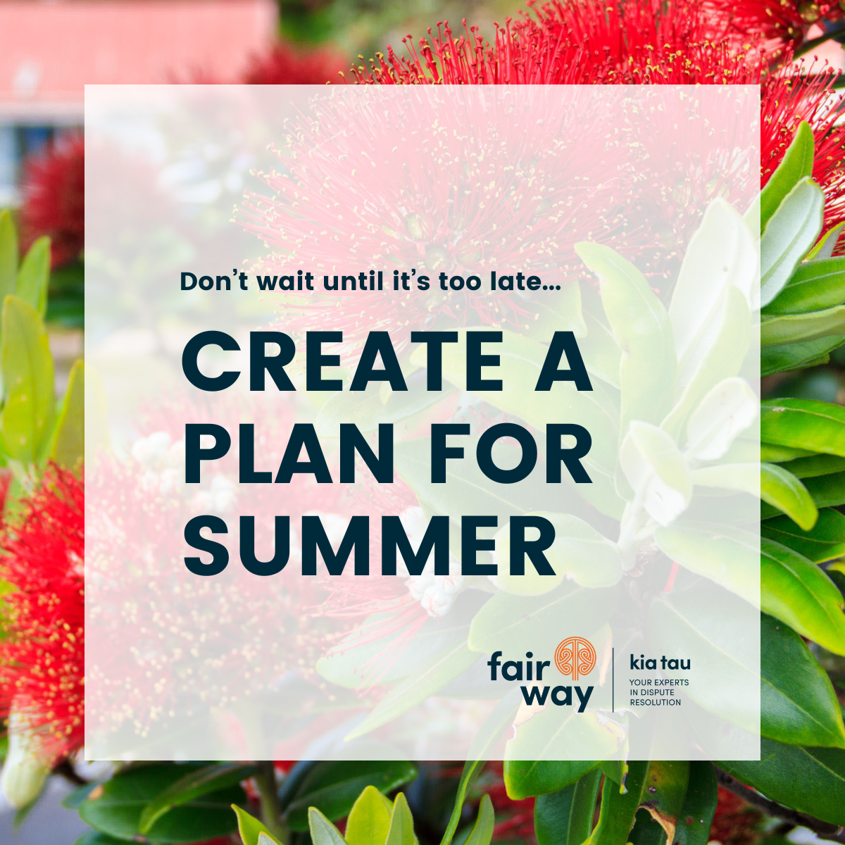 Create a plan for summer