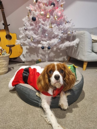 Otto from Fair Way Xmas